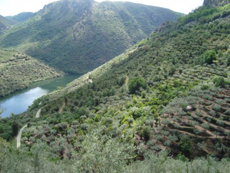 Parque Natural do Douro Internacional